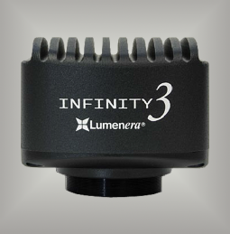 Lumenera Infinity 3-3URF fluorescence CCD digital microscope research camera  3-3URFC,  3-3URFM, fluorescence bundle