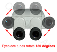 SPZ Stereozoom Microscope Ergonomic Head details