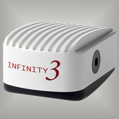 Lumenera Infinity camera models